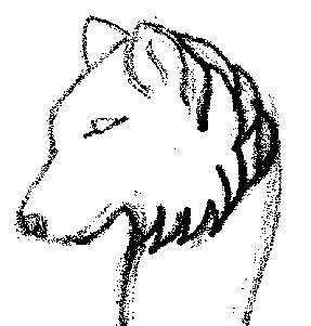 [Wolf Head #3 - 3702 bytes]