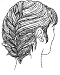 [French Braid]